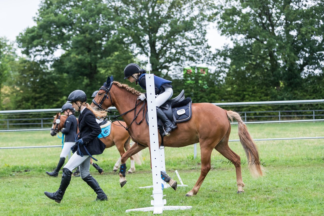Bild 32 - Pony Akademie Turnier